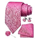 GUSLESON Men's 4-pc Paisley Tie Set - Jacquard Necktie, Pocket Square, Cufflinks, Lapel Pin - Wedding Formal Gifts