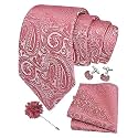 GUSLESON Men's 4-pc Paisley Tie Set - Jacquard Necktie, Pocket Square, Cufflinks, Lapel Pin - Wedding Formal Gifts