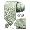 GUSLESON Men's 4-pc Paisley Tie Set - Jacquard Necktie, Pocket Square, Cufflinks, Lapel Pin - Wedding Formal Gifts