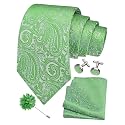 GUSLESON Men's 4-pc Paisley Tie Set - Jacquard Necktie, Pocket Square, Cufflinks, Lapel Pin - Wedding Formal Gifts