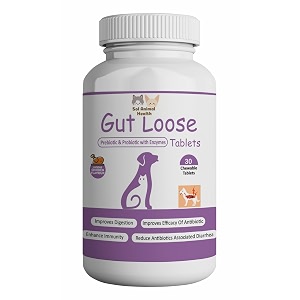 gut loose chewable tablets prebiotic and probiotics with enzymes gut health tablets for all breeds and ages dogs and cats improves digestion pack of 30 tablets