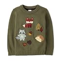 Gymboree Boys' and Toddler Embroidered Pullover Sweater