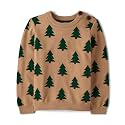 Gymboree Boys' and Toddler Embroidered Pullover Crew Neck Sweatshirt