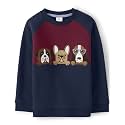 Gymboree Boys' and Toddler Embroidered Pullover Crew Neck Sweatshirt