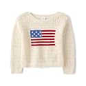 Gymboree Boys' and Toddler Long Sleeve Embroidered Crew Neck Pullover Sweater