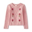 Gymboree Boys' and Toddler Long Sleeve Embroidered Crew Neck Pullover Sweater