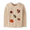 Gymboree Boys' and Toddler Long Sleeve Embroidered Crew Neck Pullover Sweater