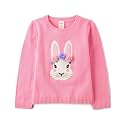 Gymboree Boys' and Toddler Long Sleeve Embroidered Crew Neck Pullover Sweater