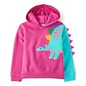 Gymboree Girls' And Toddler Pullover Hoodie