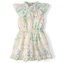 Gymboree Girls and Toddler Flutter Sleeve Dresses