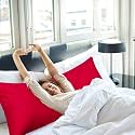 Large Body Pillow Insert- Breathable Full Body Pillow for Side Sleeper - Soft Long Bed Pillow for Adults - (20 x 54 inch) (Black)