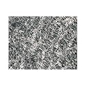 H020A013A Hydrophilic Membrane Filter, 13 mm Diameter, 35 µm Thickness (Pack of 100)