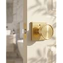 Haidms Gold Interior Door Knob, Square Privacy Door Knob (1 Pack)
