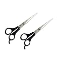Hair Cutting Scissor Professional for Salon Barber