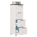 Halitaa Office Filing Cabinet with 4 Drawers, Unique White