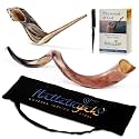 HalleluYAH Yemenite Fully Polished kudu Shofar From Israel Plus Free Bonus Ram Horn