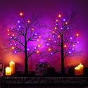 Halloween Decorations Indoor-2 Pack 24 Inch Lighted Black Halloween Tree