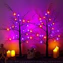 Halloween Decorations Indoor-2 Pack 24 Inch Lighted Black Halloween Tree