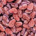 Halloween Gummy Skulls Candy, Fruity Shaped Skeleton Gummies, 1 lb