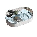 Hamdan Turtle Aquarium Tank with Filter &amp; Lid, Reptile Habitat, Terrapin Lake, Basking, Swimming, Breeding, Hibernation, Feeding, Platform for Tortoise Medium (49x25x21cm) - Sky Blue