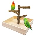 Natural Wood Bird Perch Stand Playground Parrot Toys Bird Cage Accessories