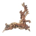 Hamiledyi Driftwood for Aquarium Wood Natural Trunk Reptile Branches Tree Fish Tank Plant Stump Ornament Decor(L: 7.5"-11.5")
