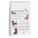 Dachshund Kitchen Towels 24x14 Inch, Dachshund Gifts Reusable Dish Towels