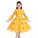 Handcrafted Pori Ethnic Party Frock for