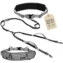 Hands Free Dog Leash for 2 Dogs Up to 250 lb, Waist Pouch, Lumbar Support