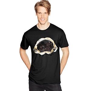 Hanes Mens Graphic T-Shirt - Rugged Outdoor