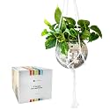 Hanging Disco Ball Planter 8" - with Acrylic Stand and Macrame Plant Hanger - Home Décor, Room Décor, Patio or Boho Décor, Mirror Disco Planter, Disco Decor (8" No Base)