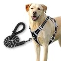 HANK Dog Harness Leash Set - 3M Reflective - 4 Adjustable Buckle - Dog Body Belt for Training - Running (Black, Medium (Harness + Leash))
