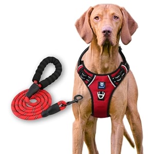 hank dog harness leash set - 4 adjustable buckle - metal hook - soft handle - dog chest belt for training - walking black medium harness  leash