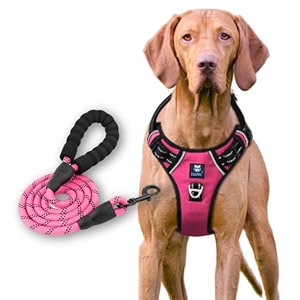 hank dog harness leash set - 4 adjustable buckle - metal hook - soft handle - dog chest belt for training - walking pink x-large harness  leash