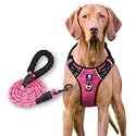HANK Dog Harness Leash Set - 4 Adjustable Buckle - Metal Hook - Soft Handle - Dog Chest Belt for Training - Walking