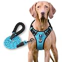 HANK Dog Harness Leash Set - 4 Adjustable Buckle - Metal Hook - Soft Handle - Dog Chest Belt for Training - Walking (Cyan Blue, Medium (Harness + Leash))