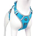 HANK Dog Harness | Pet Body Belt | Adjustable Buckles | Strong Metal Hook | 3M Reflective Strap | Dog Vest (Blue, Small)