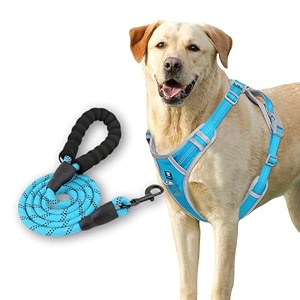 hank dog harness leash set - 3m reflective - 4 adjustable buckle - dog body belt for training - running blue medium harness  leash