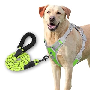 hank dog harness leash set - 3m reflective - 4 adjustable buckle - dog body belt for training - running green medium harness  leash