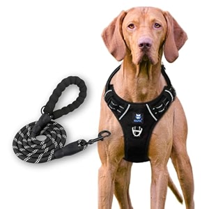 hank dog harness leash set - 4 adjustable buckle - metal hook - soft handle - dog chest belt for training - walking black medium harness  leash