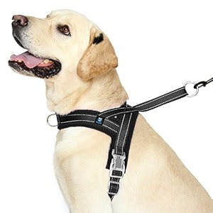 hank dog harness - dog belt for small to large breed - nigh reflective - oxford fabric - adjustable buckle - dog body belt x-large black 
