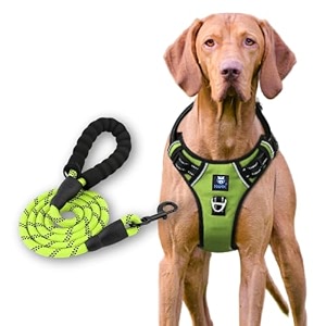 hank dog harness leash set - 4 adjustable buckle - metal hook - soft handle - dog chest belt for training - walking neon green small harness  leash