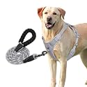 HANK Dog Harness Leash Set - 3M Reflective - 4 Adjustable Buckle - Dog Body Belt for Training - Running (Grey, Small (Harness + Leash))