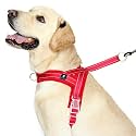 HANK Dog Belts - Night Reflective - Adjustable Buckles - Dog Chest Belt (X-Small, Red - Quick Fit)