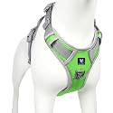 HANK Dog Harness | Pet Body Belt | Adjustable Buckles | Strong Metal Hook | 3M Reflective Strap | Dog Vest (Green, Small)