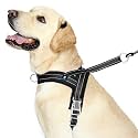 HANK Dog Harness - Dog Belt for Small to Large Breed - Nigh Reflective - Oxford Fabric - Adjustable Buckle - Dog Body Belt (X-Large, Black - Quick Fit)
