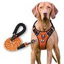 HANK Dog Harness Leash Set - 4 Adjustable Buckle - Metal Hook - Soft Handle - Dog Chest Belt for Training - Walking (Neon Orange, Small (Harness + Leash))