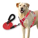 HANK Dog Harness Leash Set - 3M Reflective - 4 Adjustable Buckle - Dog Body Belt for Training - Running (Red, Small (Harness + Leash))