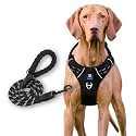HANK Dog Harness Leash Set - 4 Adjustable Buckle - Metal Hook - Soft Handle - Dog Chest Belt for Training - Walking (Black, Medium (Harness + Leash))