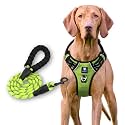 HANK Dog Harness Leash Set - 4 Adjustable Buckle - Metal Hook - Soft Handle - Dog Chest Belt for Training - Walking (Neon Green, Small (Harness + Leash))